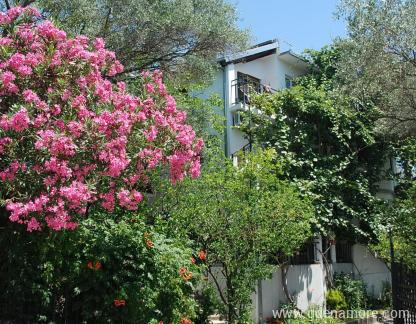 Apartmani Vujosevic , privatni sme&scaron;taj u mestu &Scaron;u&scaron;anj, Crna Gora - DSC_0076